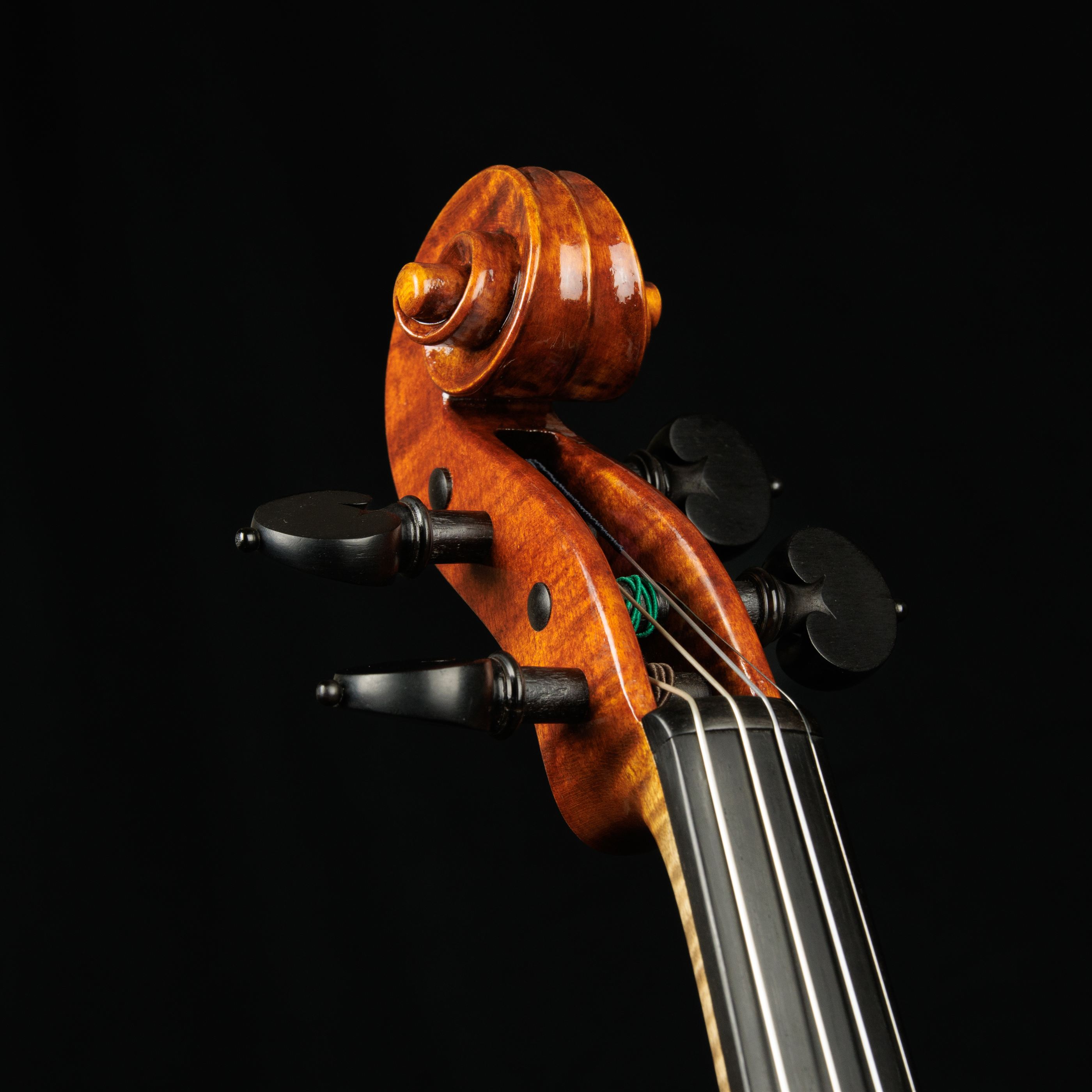 Violino detalhe